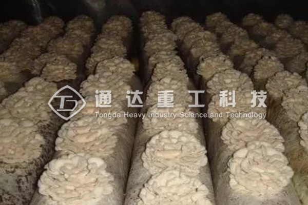 廢棄菌糠發酵做有機肥的方法和步驟，顆粒狀菌糠有機肥生產線有哪些配置